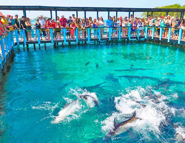 acuario-de-cartagena-2