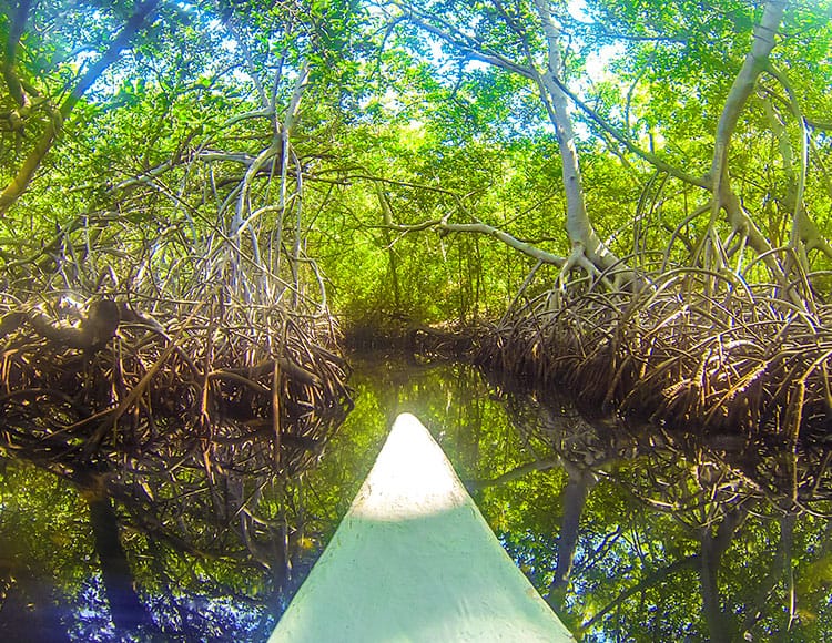 isla-san-pedro-majagua-11