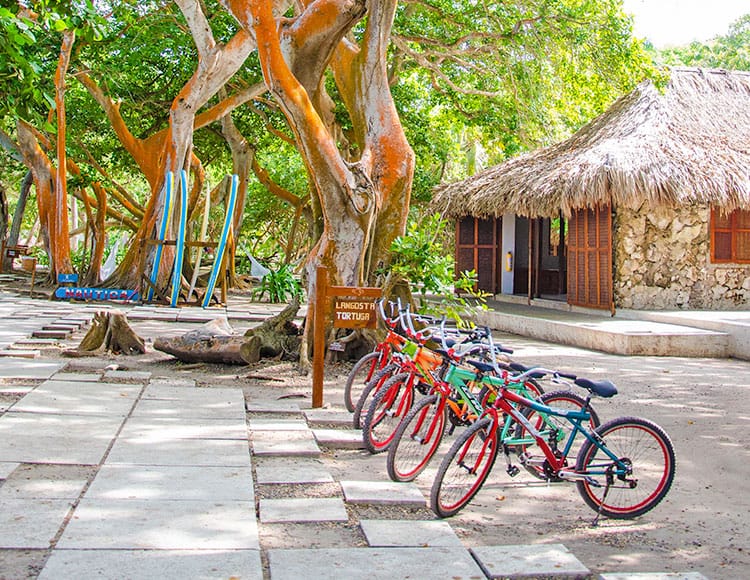 isla-san-pedro-majagua-7