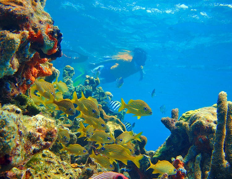 isla-san-pedro-majagua-8